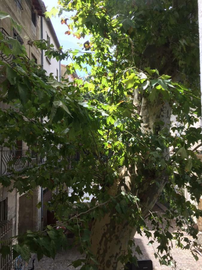 Studio Plaisance Avignon Exterior photo